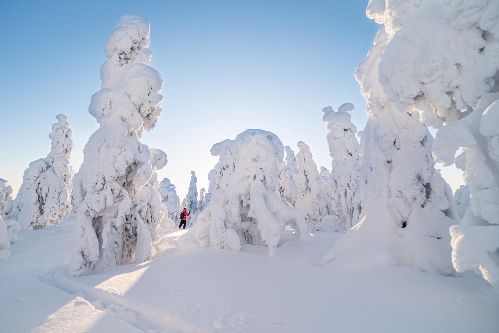 Hotel Napapiirin Jaervilomat à Luukonniemi Extérieur photo