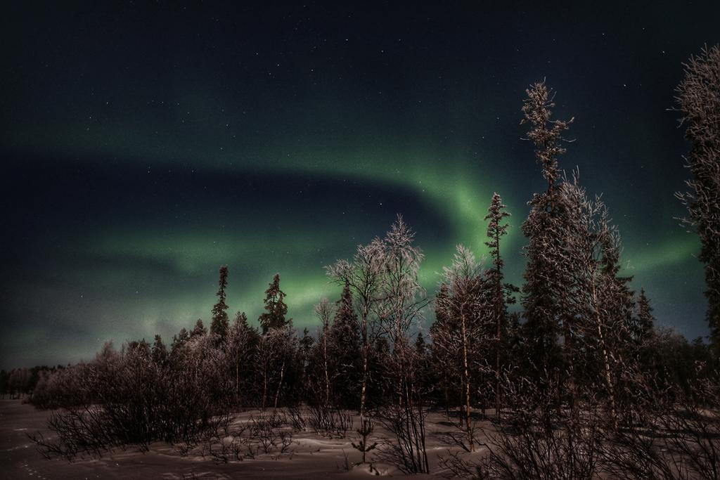 Hotel Napapiirin Jaervilomat à Luukonniemi Extérieur photo